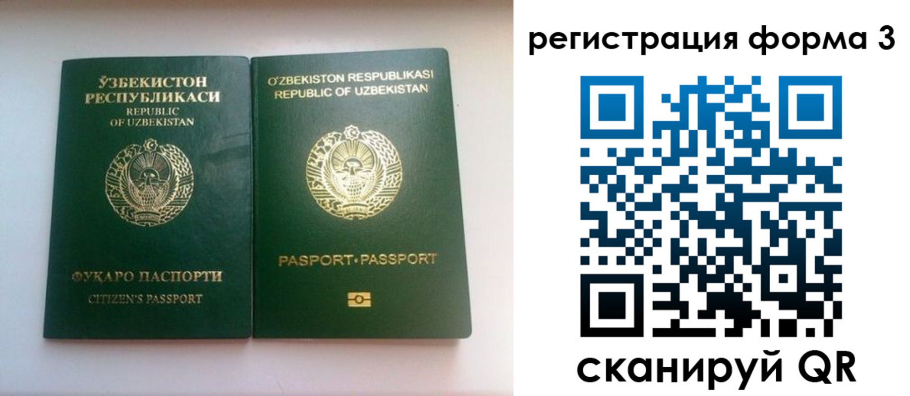 регистрация для школы в Сочи